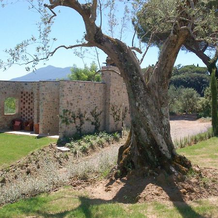 Poggio Piglia Guest House Chiusi Exterior photo
