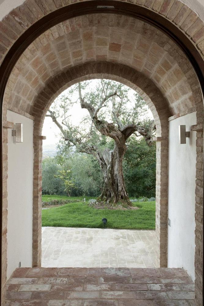 Poggio Piglia Guest House Chiusi Exterior photo